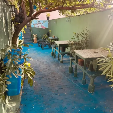 Onça da Praia Hostel
