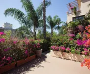 Best Western Plus Sunset Plaza Hotel Hotels near Beverly Park