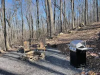 Family & Pet Friendly Treehouse with Amazing Views Hôtels à : Comte de Dade