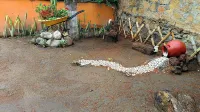 Hotel Ameyali Tequesquitengo