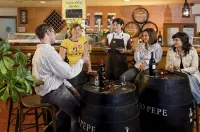 Ibis Jerez de La Frontera - ที่มีบาร์
