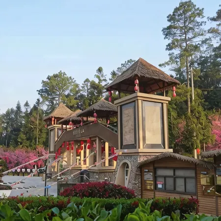 Longyun Yangshenggu Villa