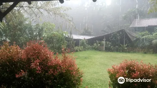赫爾曼藍塘營地 - 溫泉