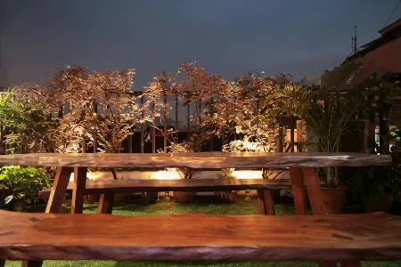 Rain Forest Hotel