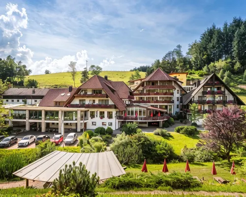 Naturparkhotel Adler Hotels in Wolfach