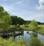 Luxury Treehouse with Large Deck - Homestays