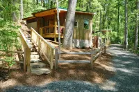 Sunshine Daydream Cottage-Natural Setting in Town - 홈스테이