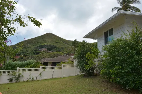 Bright, upgraded house, A/C, near the ocean! CONTACT FOR RATES & AVAILABILITY! - Kitchens