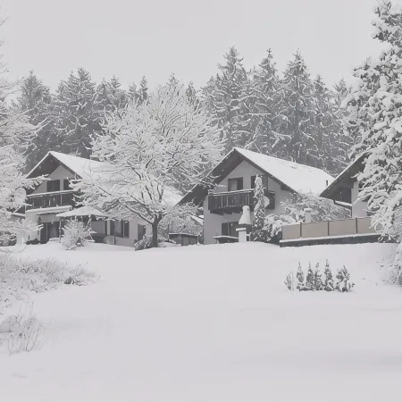 Cottage near Diane (lake, forest, wellness)