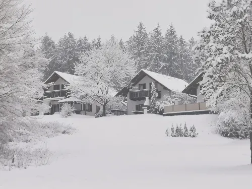 Holiday home near Zoe (lake, forest, wellness)