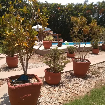 Beautiful house for 25 people, with swimming pool, feel the country air on the beach.