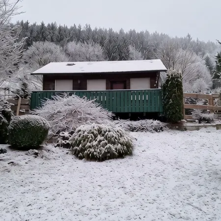 Small vacation home with charm, right by the forest