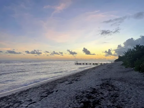 Country Road, Take me Home- your own Island Cottage! - homestay