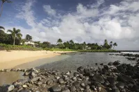 海濱公寓大廈，配有空調，從我們的露台可觀賞海龜 - 海滩