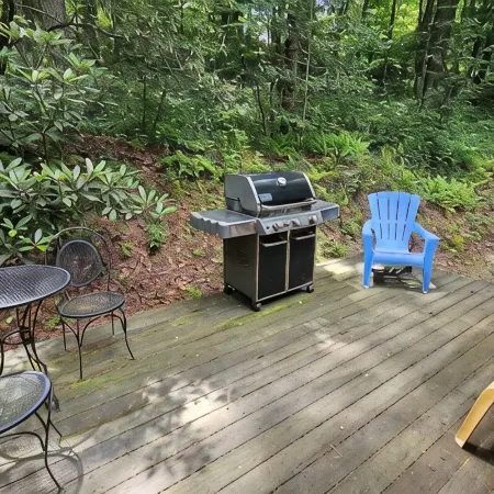 Fern Hill Cabin - near Dupont State Forest