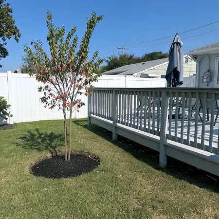 Welcome to Adria Bayside Cottage