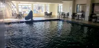 Comfort Suites Waco North - Near University Area - Pools