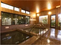 Hotel New Umeya