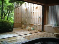 Ryokan Kinokuniya Jinpachi - con terme