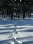 Spectacular peaceful out of town getaway only 5 miles from downtown Lake Chelan.