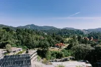 Hotel De' la Ferns, Cameron Highlands - Mountain view