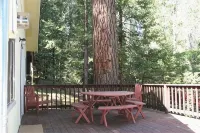 Twain Harte Vacation Rentals - Lake Member, Free WIFI, HD TV, Walk To Town/Lake - Wifi
