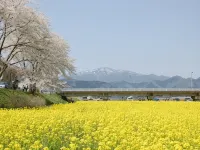 Echigoya Ryokan
