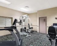 Econo Lodge Inn & Suites Triadelphia - Wheeling - Gym