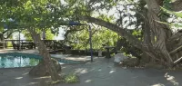 Tatenda Guest House - ที่มีสระว่ายน้ำ