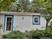 In Portugal, in the Algarve, Pretty Villa in Monchique, With Private Pool, - Pools