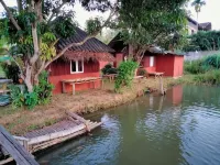 Rainbow House Pai