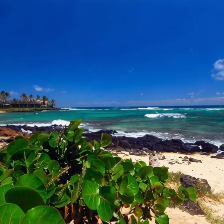 4 BDR, 3 BR, A/C, walk to beaches, restaurants and The Grand Hyatt