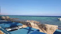 فندق البريمو دهب