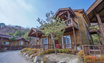 Pyeongchang Myeongji Valley Pool Villa Private Pension