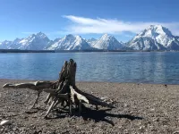 Jackson Hole Condo, 5 Miles from Grand Teton National Park,4 miles to ski resort - Wifi