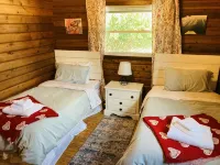 Bean’s Place - Adorable ridge top cabin five miles from Ohio University! - Alphydda