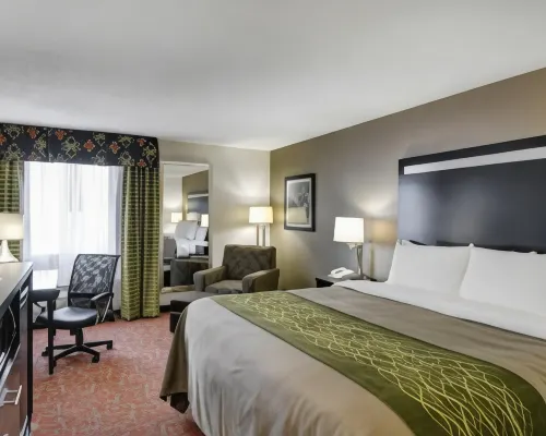 Comfort Inn - WiFi