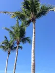 Vanderbilt Beach Vacation Home - LARGE PRIVATE POOL w/ fully fenced in backyard - 4 stjerner