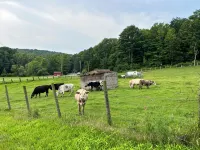 Family & Pet-Friendly, Peaceful Rural Escape. Hiking Nearby. - piscina