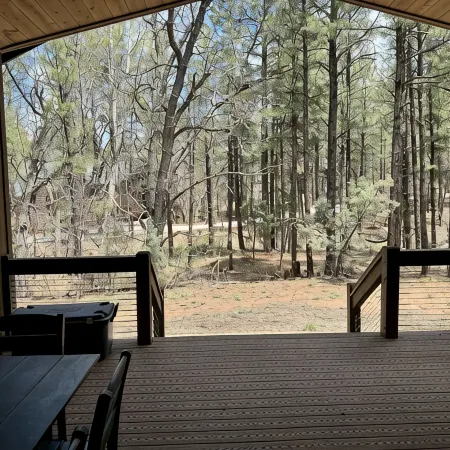New Beautiful Cabin Located in Quiet Torreon Cul-De-Sac