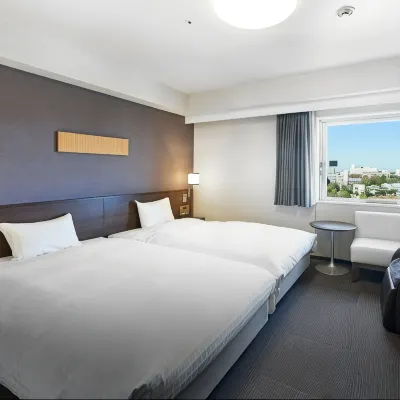 Daiwa Roynet Hotel Tsukuba Hotels near Science Museum of Map and Survey