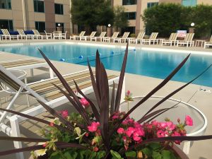 Crowne Plaza Chicago-Northbrook, an IHG Hotel