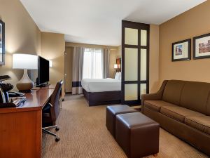 Comfort Suites Lake Norman - Huntersville