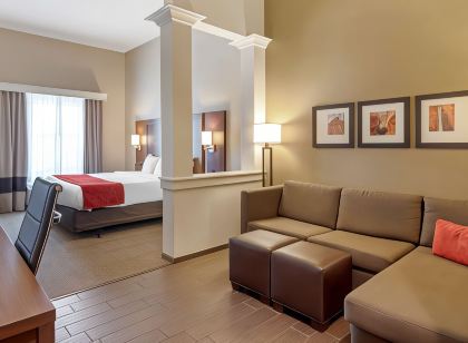 Comfort Suites St George - University Area