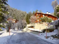 Le Torrent 1