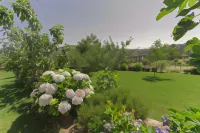 Quinta de Malta