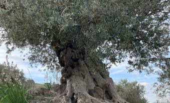 Holiday House Agrigento