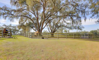 Pet-Friendly Studio Near World Equestrian Center!