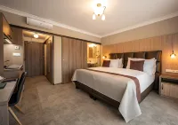 Efi Spa Hotel Superior & Pivovar Hotels in Брно
