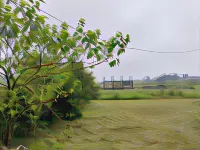 The Bethel Guest House Hotels in Cherrapunjee